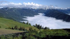 Landscapes hurricane Washington