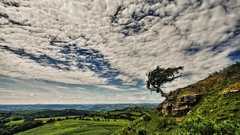 Landscapes I Am Legend