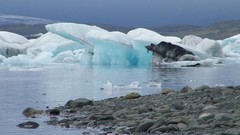 Landscapes ice Europe iceland icebergs Alexander Pohl