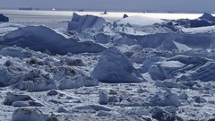 Landscapes icebergs