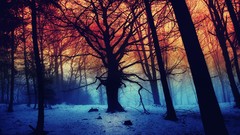 Landscapes imagination janek-sedlar