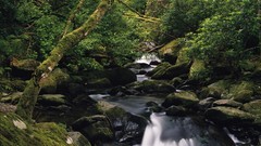 Landscapes Ireland lakes national park