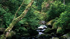 Landscapes Ireland lakes national park