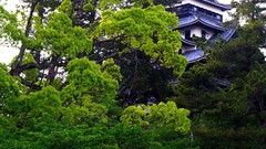 Landscapes Japan buildings