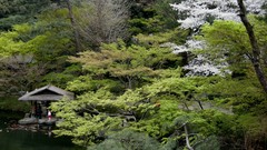 Landscapes Japan forests