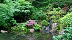 Landscapes Japan forests