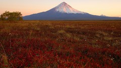 Landscapes Japan mount fuji