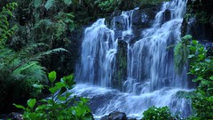 Landscapes jungle waterfalls forests