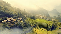 Landscapes ladder fields mount forests Viet Nam