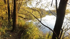 Landscapes lakes forests