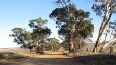 Landscapes land Australia Rural countryside country road 