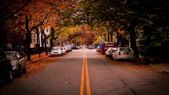Landscapes leaves autumn cars roads vehicles