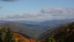 Landscapes leaves autumn forests