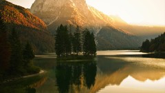 Landscapes leaves autumn forests