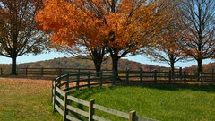 Landscapes leaves autumn forests