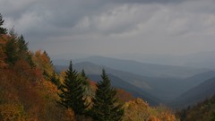 Landscapes leaves autumn forests