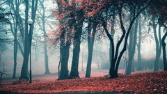 Landscapes leaves fog Trees autumn Parks lanterns fallen leaves