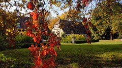 Landscapes leaves nature