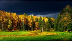 Landscapes leaves nature autumn Finland forests