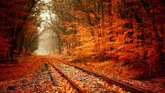 Landscapes leaves nature autumn railroad tracks