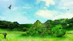 Landscapes leaves nature Green Birds Weeds