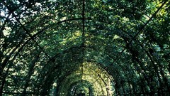 Landscapes leaves nature Men vegetation France bench 
