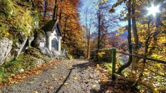 Landscapes leaves nature sun autumn light chapel Wood shadows