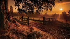 Landscapes leaves nature sun gate Earth