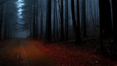 Landscapes leaves nature Trees blue red magic roads mist 