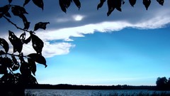 Landscapes leaves nature Trees silhouettes lakes
