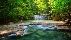 Landscapes leaves nature Trees Thailand waterfalls greenery 