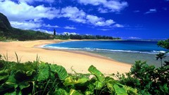 Landscapes leaves sand nature clouds Beaches blue skies