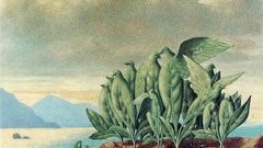 Landscapes leaves Sea Mountains clouds surrealism Birds 