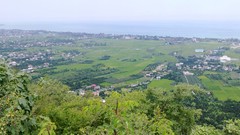 Landscapes leaves Sea water blue summer Green jungle miladvaziri