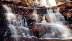 Landscapes leaves stones nature bright