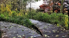 Landscapes leaves Trees autumn France Europe houses James Lapett