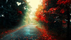 Landscapes leaves Trees autumn roads fallen leaves