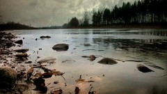 Landscapes leaves Trees lakes