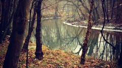 Landscapes leaves Trees snow rivers forests