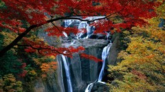 Landscapes leaves Trees waterfalls
