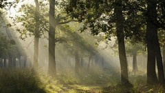 Landscapes light germany