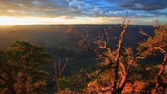 Landscapes light point Arizona Grand Canyon national park rim