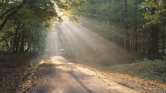 Landscapes light roads