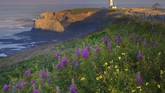 Landscapes lighthouses