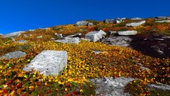 Landscapes meadows rocks