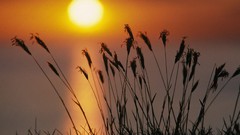 Landscapes Michigan lakes