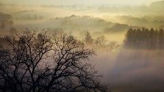 Landscapes mist