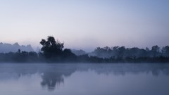 Landscapes mist
