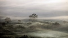 Landscapes mist