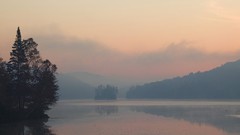 Landscapes mist marsh